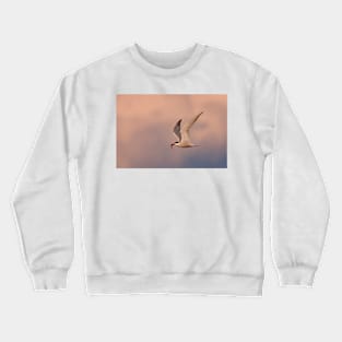 Common Tern with fish Crewneck Sweatshirt